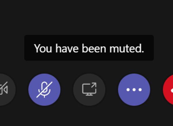 When mute is really not MUTED?