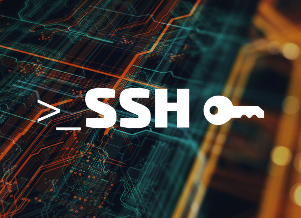 New OpenSSH Vulnerability Discovered: Potential Remote Code Execution Risk